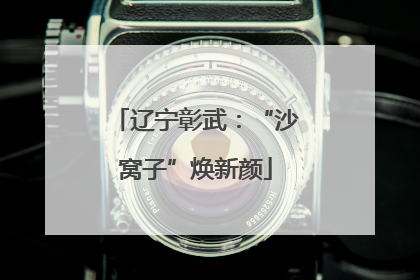 辽宁彰武：“沙窝子”焕新颜