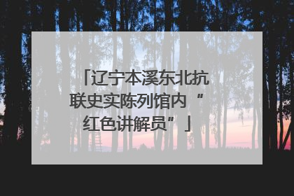 辽宁本溪东北抗联史实陈列馆内“红色讲解员”