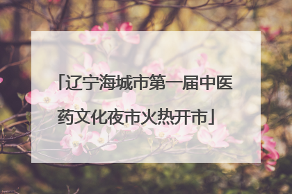辽宁海城市第一届中医药文化夜市火热开市