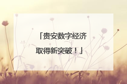 贵安数字经济取得新突破！