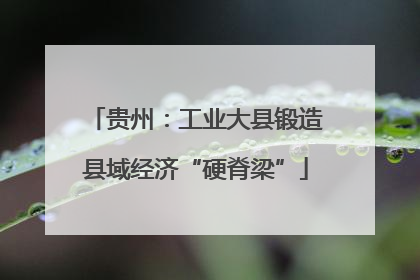 贵州：工业大县锻造县域经济“硬脊梁”