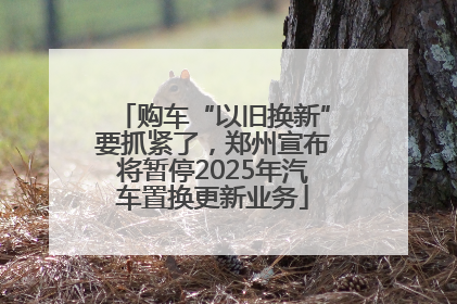 购车“以旧换新”要抓紧了，郑州宣布将暂停2025年汽车置换更新业务