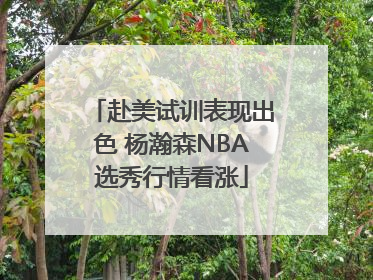 赴美试训表现出色 杨瀚森NBA选秀行情看涨