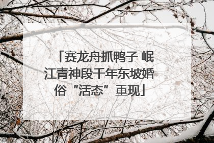 赛龙舟抓鸭子 岷江青神段千年东坡婚俗“活态”重现