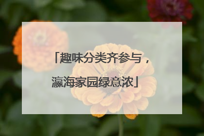 趣味分类齐参与，瀛海家园绿意浓
