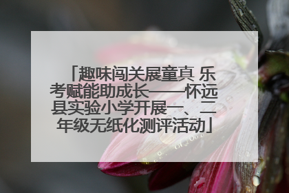 趣味闯关展童真 乐考赋能助成长——怀远县实验小学开展一、二年级无纸化测评活动