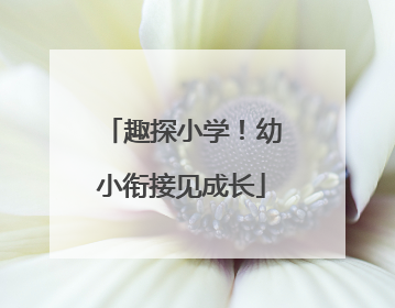 趣探小学！幼小衔接见成长