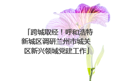 跨城取经！呼和浩特新城区调研兰州市城关区新兴领域党建工作