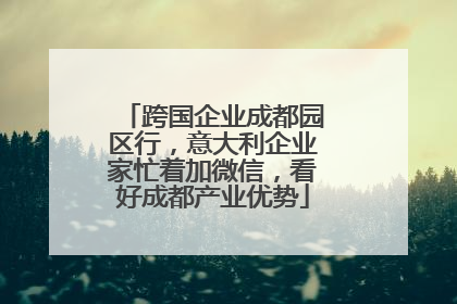 跨国企业成都园区行，意大利企业家忙着加微信，看好成都产业优势