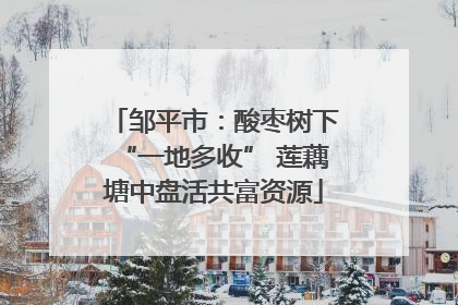 邹平市：酸枣树下“一地多收” 莲藕塘中盘活共富资源