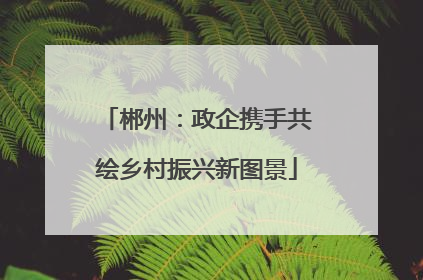 郴州：政企携手共绘乡村振兴新图景
