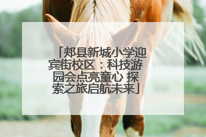 郏县新城小学迎宾街校区：科技游园会点亮童心 探索之旅启航未来