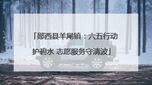 郧西县羊尾镇：六五行动护碧水 志愿服务守清波