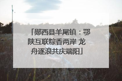 郧西县羊尾镇：鄂陕互联粽香两岸 龙舟逐浪共庆端阳