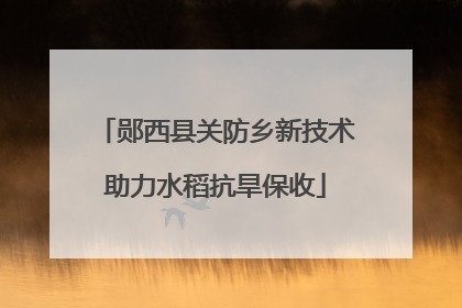 郧西县关防乡新技术助力水稻抗旱保收