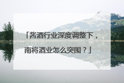 酱酒行业深度调整下，南将酒业怎么突围？