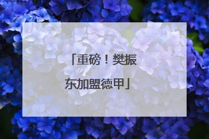 重磅！樊振东加盟德甲