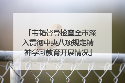 韦韬督导检查全市深入贯彻中央八项规定精神学习教育开展情况