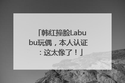 韩红撞脸Labubu玩偶，本人认证：这太像了！
