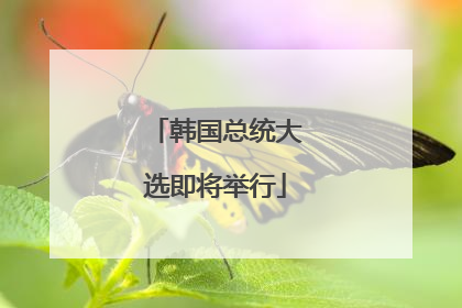 韩国总统大选即将举行