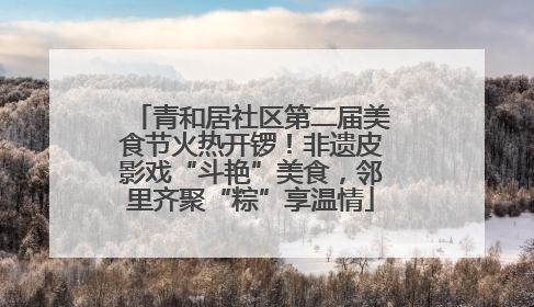 青和居社区第二届美食节火热开锣！非遗皮影戏“斗艳”美食，邻里齐聚“粽”享温情