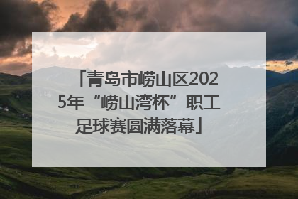 青岛市崂山区2025年“崂山湾杯”职工足球赛圆满落幕