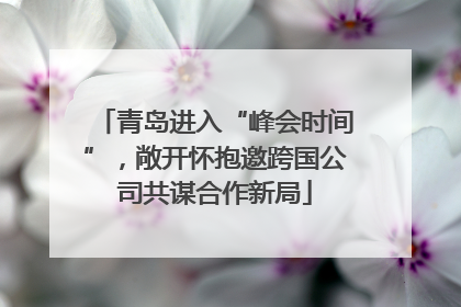 青岛进入“峰会时间”，敞开怀抱邀跨国公司共谋合作新局