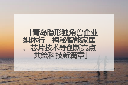 青岛隐形独角兽企业媒体行：揭秘智能家居、芯片技术等创新亮点 共绘科技新篇章