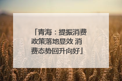 青海：提振消费政策落地显效 消费态势回升向好