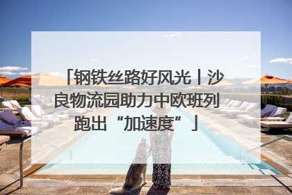 钢铁丝路好风光丨沙良物流园助力中欧班列跑出“加速度”