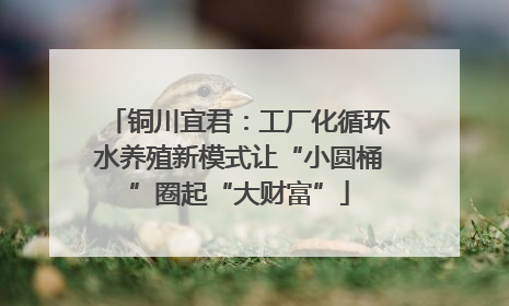 铜川宜君：工厂化循环水养殖新模式让“小圆桶”圈起“大财富”