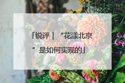 锐评｜“花漾北京”是如何实现的