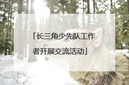 长三角少先队工作者开展交流活动