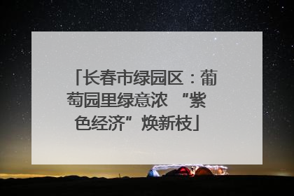 长春市绿园区：葡萄园里绿意浓 “紫色经济”焕新枝