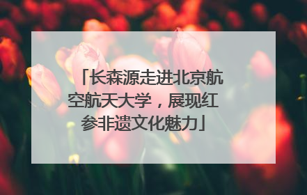 长森源走进北京航空航天大学，展现红参非遗文化魅力