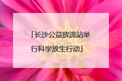 长沙公益放流站举行科学放生行动
