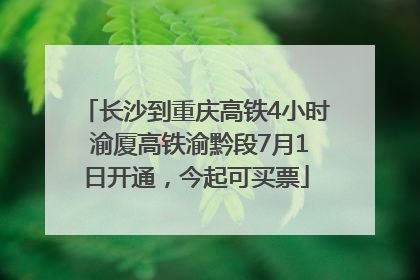 长沙到重庆高铁4小时 渝厦高铁渝黔段7月1日开通，今起可买票