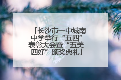 长沙市一中城南中学举行“五四”表彰大会暨“五美四好”颁奖典礼