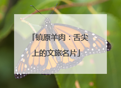 镇原羊肉：舌尖上的文旅名片