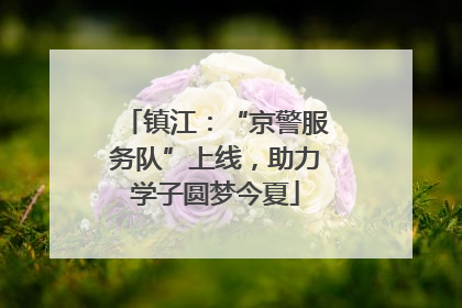 镇江：“京警服务队”上线，助力学子圆梦今夏