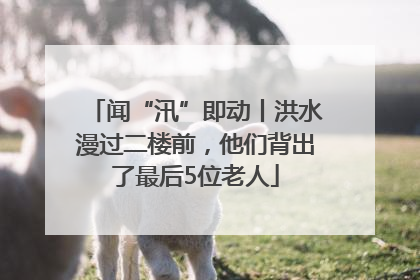 闻“汛”即动丨洪水漫过二楼前，他们背出了最后5位老人