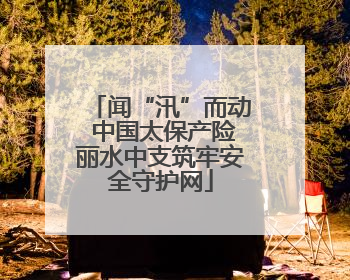 闻“汛”而动 中国太保产险丽水中支筑牢安全守护网