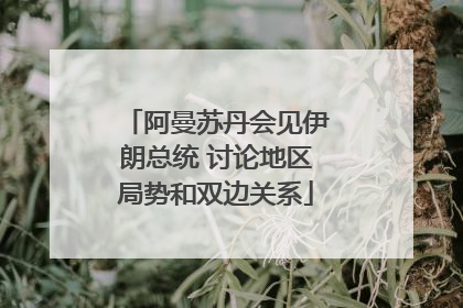 阿曼苏丹会见伊朗总统 讨论地区局势和双边关系