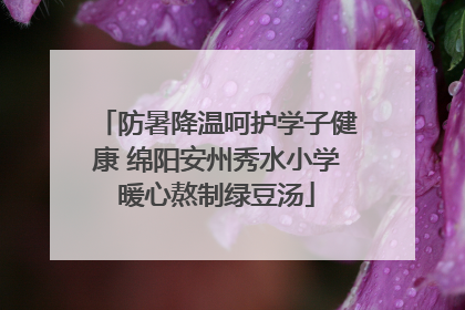 防暑降温呵护学子健康 绵阳安州秀水小学暖心熬制绿豆汤