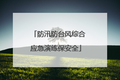 防汛防台风综合应急演练保安全