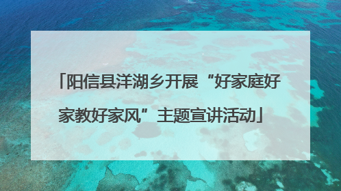 阳信县洋湖乡开展“好家庭好家教好家风”主题宣讲活动
