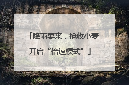 降雨要来，抢收小麦开启“倍速模式”