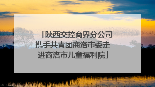 陕西交控商界分公司携手共青团商洛市委走进商洛市儿童福利院