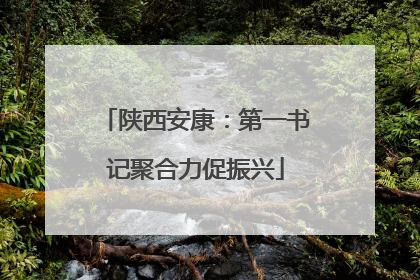 陕西安康：第一书记聚合力促振兴