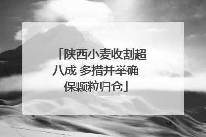 陕西小麦收割超八成 多措并举确保颗粒归仓